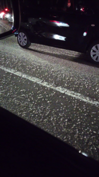 玄関に白い蛾が大量発生しています 体長は2 3cmくらいで 大きさ以外は Yahoo 知恵袋