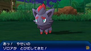 画像をダウンロード ポケモン Xy ゾロアーク 入手 方法 Hd壁紙画像fhd