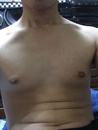 19歳の男です 胸の肉がどうしてもなくなりません シャツ一枚でいる Yahoo 知恵袋