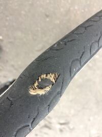カーカス タイヤ まだ乗れる 自転車