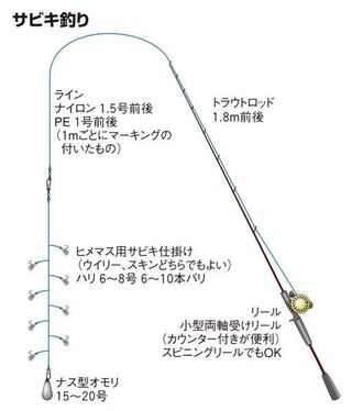 ヒメマスをサビキで釣れますか 釣れますよ 餌釣りの人も多いですが Yahoo 知恵袋