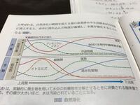 言うまでも無い わかっている という意味のことわざや四字熟語 慣用句 Yahoo 知恵袋