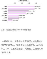上半身の筋肉の大きさ 部位別 について質問します こんな Yahoo 知恵袋