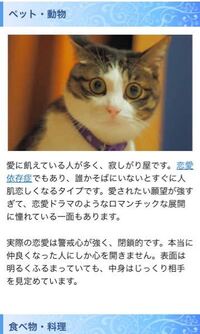 自分が飼ってる猫をlineのアイコンにしてる人って引きますか Yahoo 知恵袋