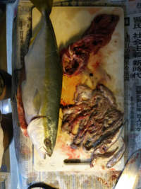 魚の一夜干しの消費期限ってどのくらいでしょうか 専門の ひもの屋ヤ Yahoo 知恵袋