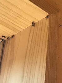 シロアリ？ 家の玄関内に大量の黒っぽい羽根アリと小さなアリが発生しました。シロアリ被害にあっているのでしょうか？駆除する方法はありますか？