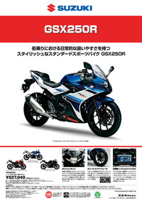 Ninja250は見た目の割につまらないバイクですか ひーさんは見た Yahoo 知恵袋