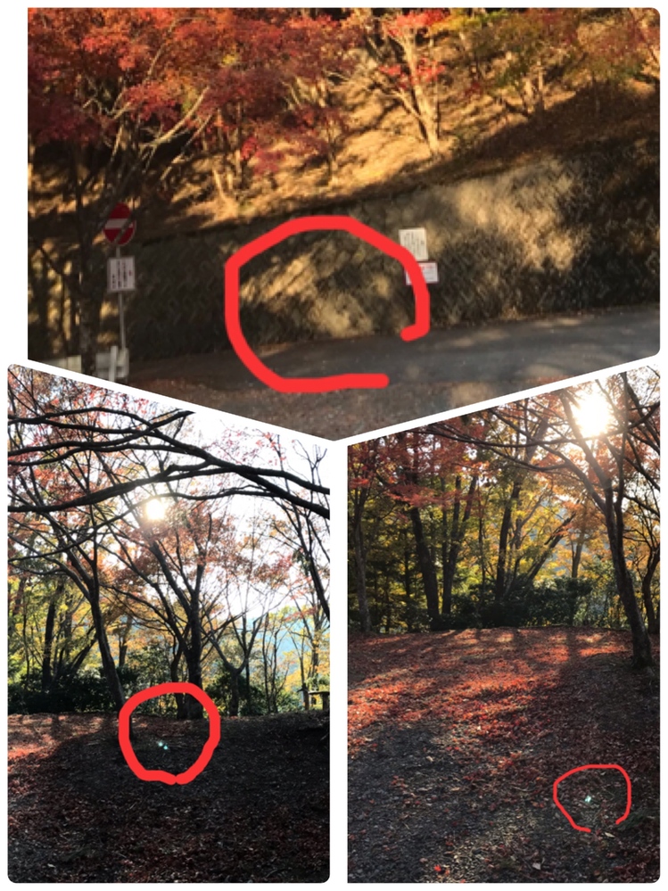 不思議な写真が撮れました。この緑の光は何でしょうu2026？また、顔のよう 