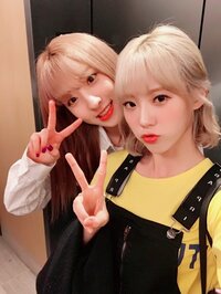 宇宙少女ルダ少女時代テヨン似てると思いますか 個人的に10 13 Yahoo 知恵袋