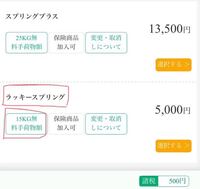 春秋航空日本のラッキースプリングというプランについての質問です 又 初旅行 Yahoo 知恵袋