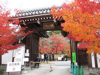 京都人は日本で一番人間関係が難しい 何を考えているのか解らずそれでいけ Yahoo 知恵袋