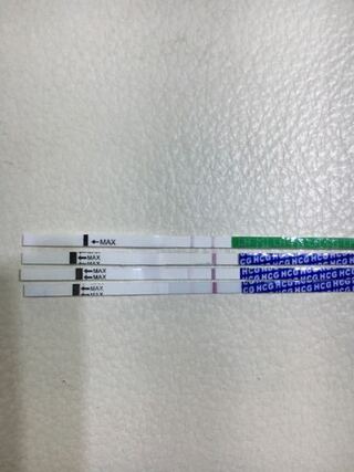 Wondfo妊娠検査薬の判定について 生理予定日前日から測定してる Yahoo 知恵袋