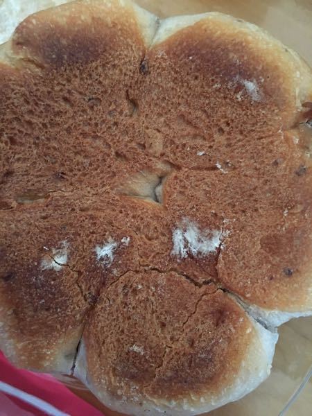 パンを見たら白いものが付いているのですがこれはカビですか？ - 食べ 