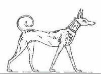 古代エジプトの壁画に描かれた犬はスタイリッシュですか 犬らしくて好 Yahoo 知恵袋