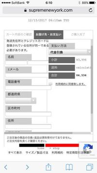 Supremeオンラインで初めて別タブ決済をスマホでしようと思 Yahoo 知恵袋