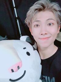 Bt21 は Btsのキャラクターのことですか コアラ Yahoo 知恵袋