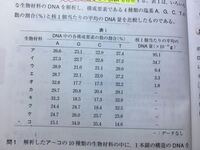 生物基礎のDNAの問題です！ 核一個あたりのDNA量がしるされている生物材料(ア~オ)の中に、同じ生物の肝臓に由来したものと精子に由来したものがそれぞれ1つずつ含まれている。この生物の精子に由来したものとして最も適当なものを、ア~オのうちからひとつ選べ。

答えはエなのですが、どうしてそうなったのか、分かりません。イを選んでしまいました。
理由を教えて下さい！