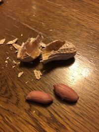 落花生の殻の中のピーナッツ この茶色の皮って食べた方がい Yahoo 知恵袋