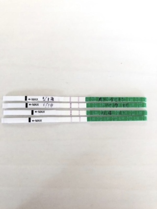高温期10日目 排卵検査薬