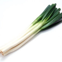 スーパーの長ネギって何で裸で売っているのですか？ 少し前までは白菜みたいにビニールで包まれていたと思うのですが、、

何人触ったかわからないし、カゴに入れるのも不衛生だし。

そこそこ値段がするので袋に入れるなり、トングで掴むなりしてほしいです。

皆さんはどう思いますか？