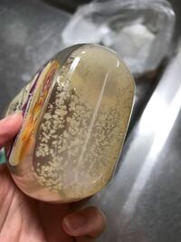 蜂蜜に白いものができたんですが 大丈夫でしょうか 蜂蜜の Yahoo 知恵袋