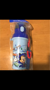 ディズニーに水筒を皆さん持ち込みしてますか 何ｍｌ入るサイズ Yahoo 知恵袋