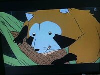 ラスカルって アライグマっていうよりレッサーパンダだよね この画像 Yahoo 知恵袋