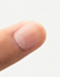 写真あり この爪の根元 にある白いアーチのようなものはなんて Yahoo 知恵袋