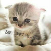 ヨーロッパ州の簡単な覚え方は 何かないでしょうか 塾で世界地図のテストを Yahoo 知恵袋