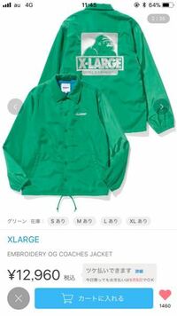 このコーチジャケット買おうと思っているんですが この緑はダサいですか Yahoo 知恵袋