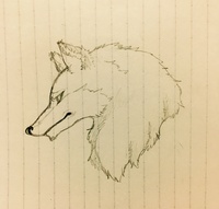オオカミの絵の描き方を教えて下さい最近オオカミの絵を描いている Yahoo 知恵袋