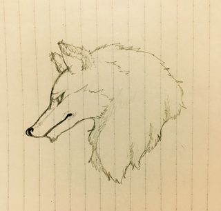 画像 かっこいい 狼 イラスト 描き 方 簡単