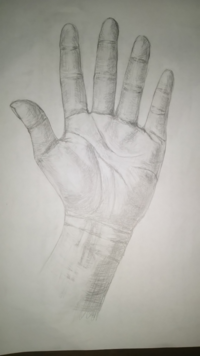 絵の評価をお願いします 初めて手のデッサン を描きま Yahoo 知恵袋