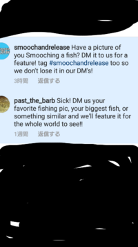 この青色のコメント2件はインスタグラムで送られてきたものなので Yahoo 知恵袋