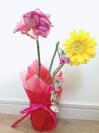 癒し や 安らぎ って花言葉を持つ花を教えて下さい 癒やしの花言 Yahoo 知恵袋