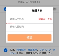上海ディズニーリゾートのフォトパスについて教えて下さい ルミエ Yahoo 知恵袋