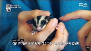 Btsのジンが2匹 モモンガを飼っていると思うんですが 名前は Yahoo 知恵袋