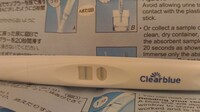 妊娠初期 病院へ行くタイミング妊娠してたら5w1dあたりです 昨日 妊娠 Yahoo 知恵袋