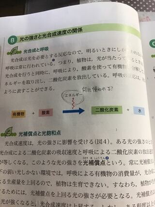 理科の植物の呼吸について 写真の教科書に書いているエネルギーは Yahoo 知恵袋