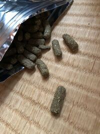 ヒョウモントカゲモドキなどに与える冷凍コオロギはどれくらいの時間で解凍できます Yahoo 知恵袋