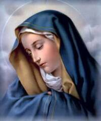 この絵画 聖母マリア像 の作者を教えてください カルロドルチとは違 Yahoo 知恵袋