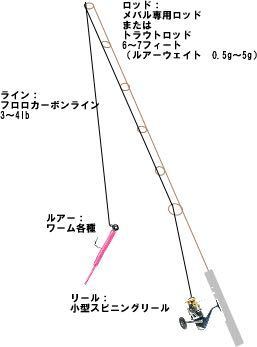 ブラックバス釣りの仕掛けって このタックルとリグで50cmくらいのブラッ Yahoo 知恵袋