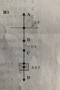 物理の力のつりあいの問題です 天井に紐を固定して 紐の下端にお Yahoo 知恵袋