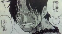 Onepieceのバナロ島の決闘でエースは黒ひげに敗れましたが エースの最 Yahoo 知恵袋