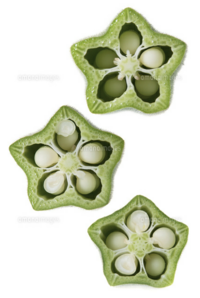 夏目漱石のこころのアニメ版を見ました 授業でこころを読ん Yahoo 知恵袋