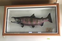 オショロコマは食べられますか にゃー オショ Yahoo 知恵袋