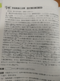 3 をどのような実験によって証明したか教えてください オ Yahoo 知恵袋