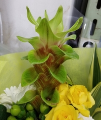 花屋さんに切り花 実モノ としてパイナップルがありました 4c Yahoo 知恵袋