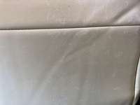 車のシートにカビが W こんにちわ どこのカテ Yahoo 知恵袋