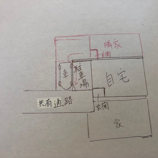 隣家の大木から落ち葉が大量にきて困っています - 隣家の楠（樹高１０ 